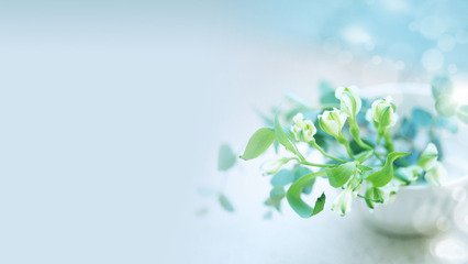 卷板机厂家分享—卷板机保养和使用注意事项